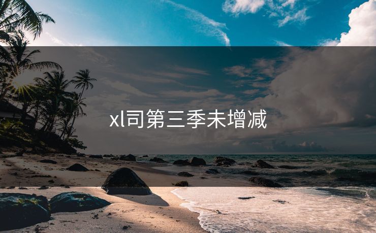 xl司第三季未增减